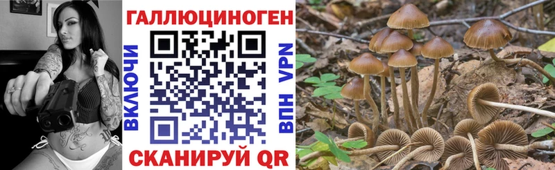 цены   blacksprut ССЫЛКА  Галлюциногенные грибы MAGIC MUSHROOMS  Усинск 
